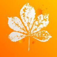Autumn leaf of chestnut
