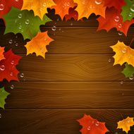 vector autumn background N22