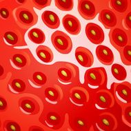 Vector Strawberry Texture