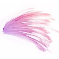 Colorful water color painting background N238