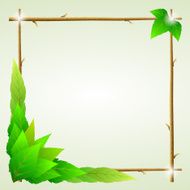 Green leaves ecology background