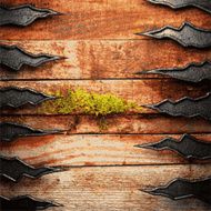 metal and wood background N407