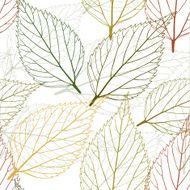 leaves background N19