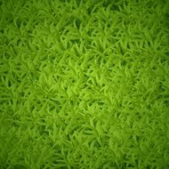 grass-texture N2