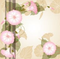 Background with pink Morning glory N2