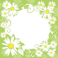Spring Floral Border N2