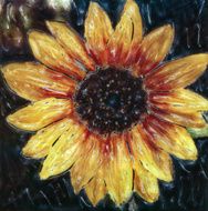 Sunflower N23