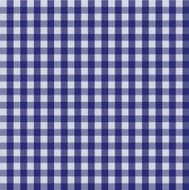 Picnic country checkered pattern N5