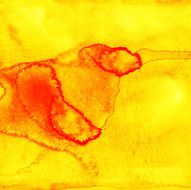 yellow background N89