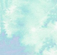 watercolors on textured paper N50
