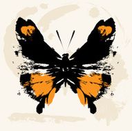 butterfly N170