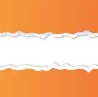 Torn Paper Background N10