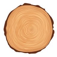 Vector saw crosscut tree trunk
