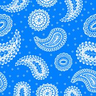 seamless pattern paisley N4