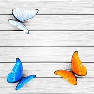 Three butterflies on wooden background