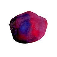watercolor vector spot N3