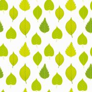 Leafs pattern N10