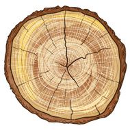 wood log N2