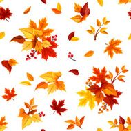 Seamless pattern with colorful autumn leaves on white Vector illustration