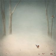 Winter Glade