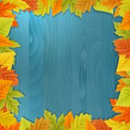 wood autumn vector background with leafs