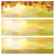 Vector autumnal banners