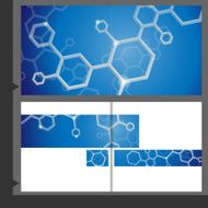 Molecule Brochure Design
