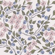 blueberries N2