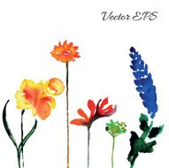 Flowers watercolor N3