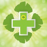 Abstract ginkgo biloba background