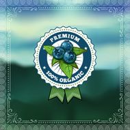 F&amp;B Labels - Blueberries N4