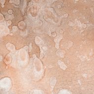 Beige spotted watercolor background N2