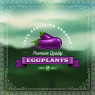 F&amp;B Labels - Eggplant N5