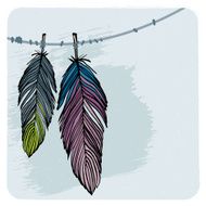 Winter feathers