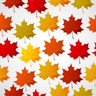 background with autumn colorful leaves N2