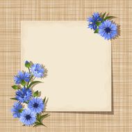 Vector card with cornflowers on a sacking background Eps-10