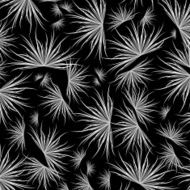 abstract black and white plant pattern background N3