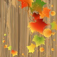 foliage backdrop wood
