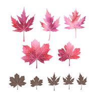 Set of watercolor leaves N9