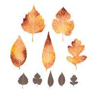 Set of watercolor leaves N10