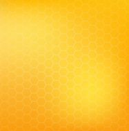 Honey pattern vector illustration N5
