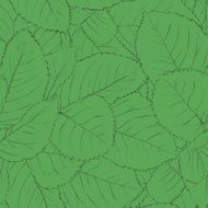 Beautiful seamless background with green leaves N4