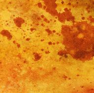 Hand painted golden yellow painting with red orange splatters