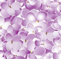 seamless lilac