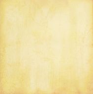 Grunge vector background N93