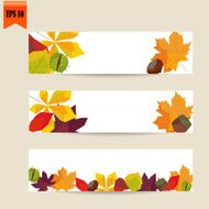 Autumn banners set with colorful leaves Vector
