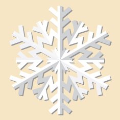 Snowflakes Vector illustration N6