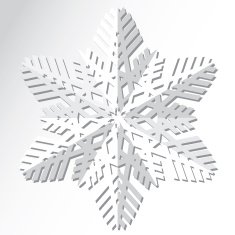 Snowflakes Vector illustration N11