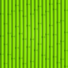 Bamboo Background N37