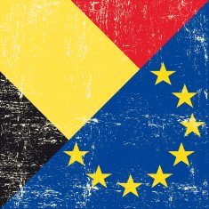Belgian and european grunge Flag N2